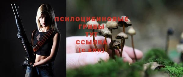 метадон Болохово