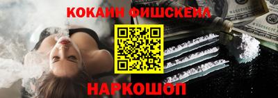 крисы Кингисепп