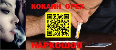 крисы Кингисепп