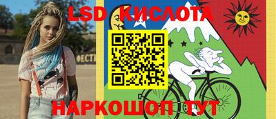 крисы Кингисепп