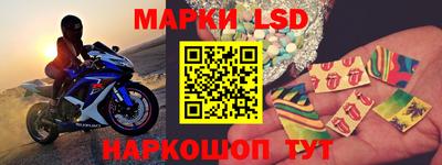 крисы Кингисепп