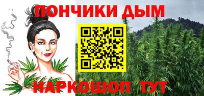 крисы Кингисепп