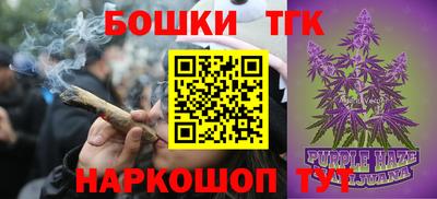 крисы Кингисепп