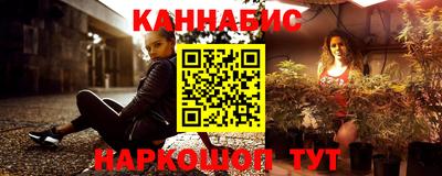 крисы Кингисепп