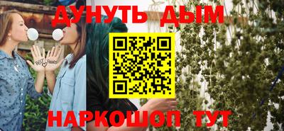 крисы Кингисепп