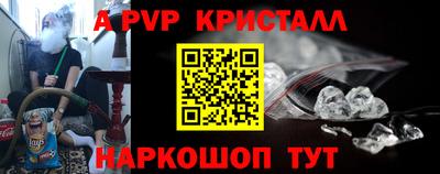 крисы Кингисепп