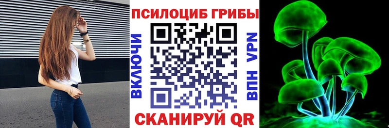 Псилоцибиновые грибы Cubensis дарнет шоп Новомосковск