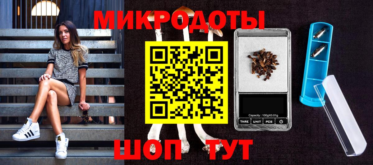 Галлюциногенные грибы Cubensis Новомосковск