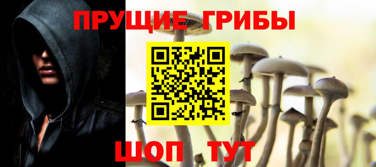 где можно купить   Псилоцибиновые грибы мухоморы  Новомосковск  Галлюциногенные грибы прущие грибы 